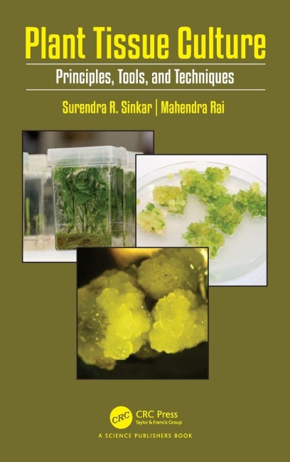 Plant Tissue Culture: Principles, Tools, and Techniques