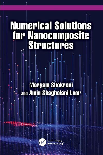 Numerical Solutions for Nanocomposite Structures