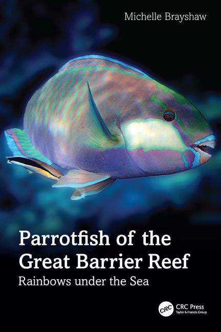 Parrotfish of the Great Barrier Reef: Rainbows Under the Sea