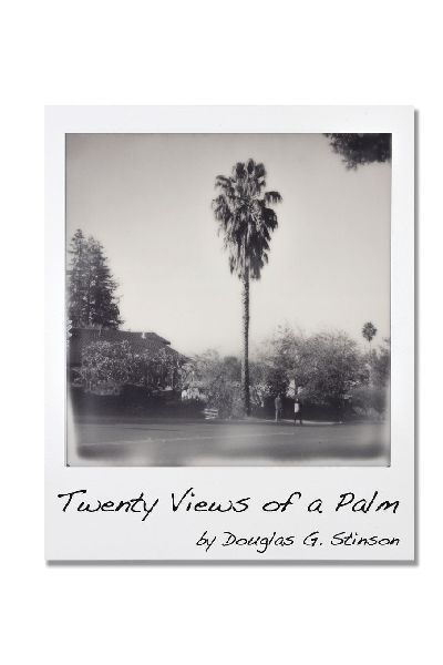 Twenty Views of a Palm