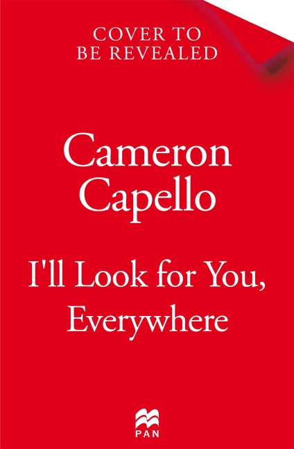 Ill Look for You, Everywhere