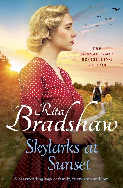 Skylarks At Sunset: An unforgettable saga of love, family and hope