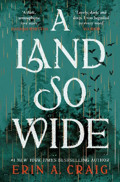 A Land So Wide: A breathtaking, deliciously dark fairy tale from #1 New York Times and USA Today bestselling author Erin A. Craig