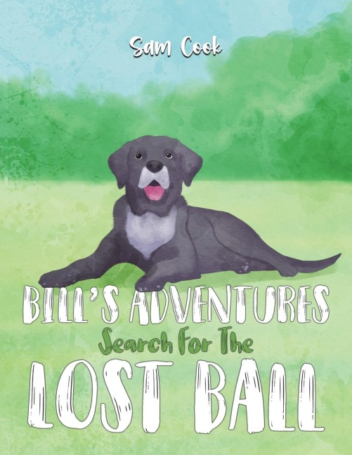Bills Adventures: Search for the Lost Ball
