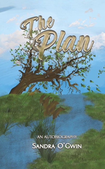 The Plan