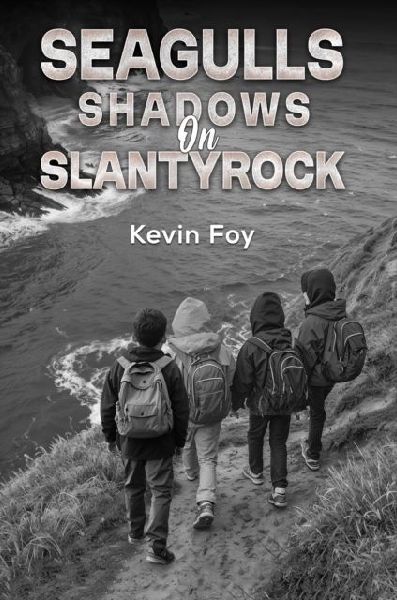 Seagulls Shadows on Slantyrock
