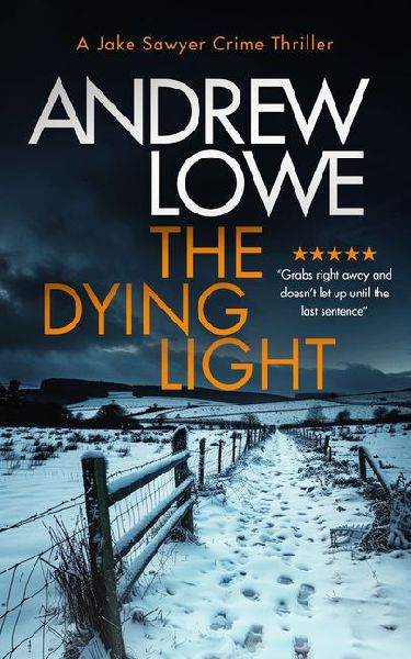 The Dying Light: A page-turning, chilling British crime novel with twists