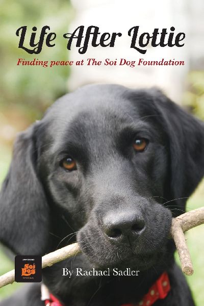Life After Lottie: Finding peace at The Soi Dog Foundation