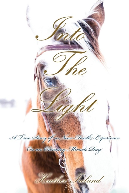 Into The Light: A True Story of a Near-Death Experience on An Ordinary Miracle Day