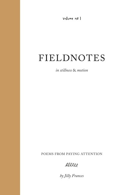 Fieldnotes: in stillness & motion