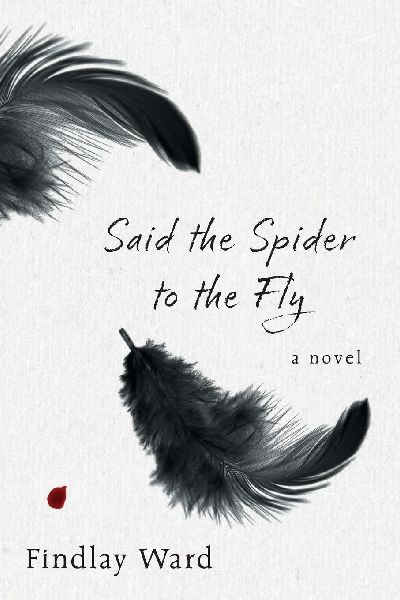 Said the Spider to the Fly