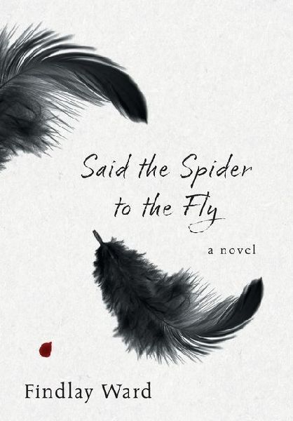 Said the Spider to the Fly