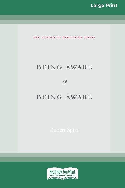 Being Aware of Being Aware (Large Print 16 Pt Edition)