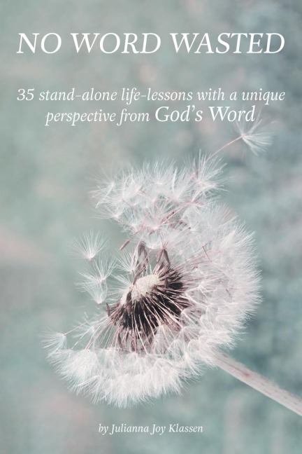 No Word Wasted: 35 stand-alone life-lessons with a unique perspective from Gods Word
