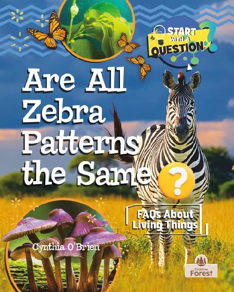 Are All Zebra Patterns the Same?