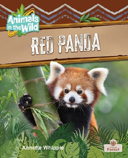 Red Panda