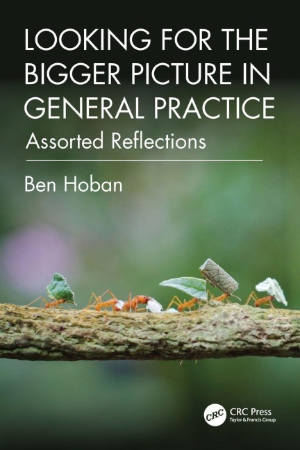 Looking for the Bigger Picture in General Practice: Assorted Reflections