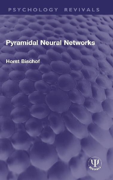 Pyramidal Neural Networks