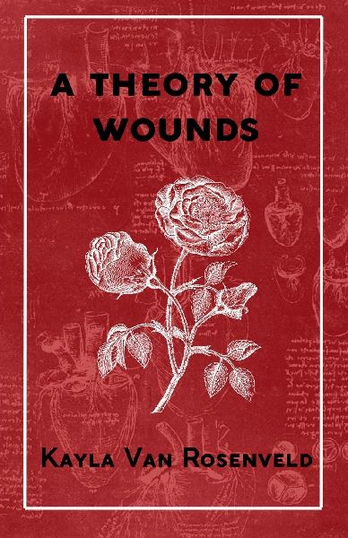 A Theory of Wounds