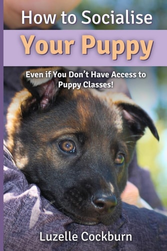 How to Socialise Your Puppy Even If You Don't Have Access to Puppy Classes!