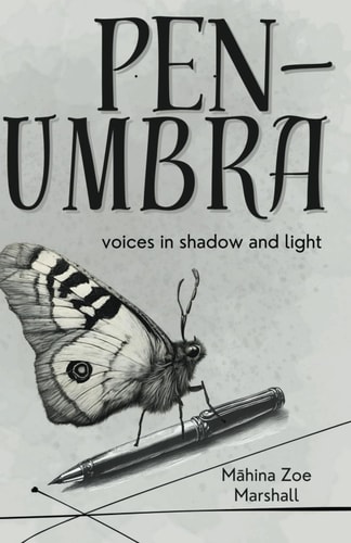 Penumbra Voices in Shadow and Light