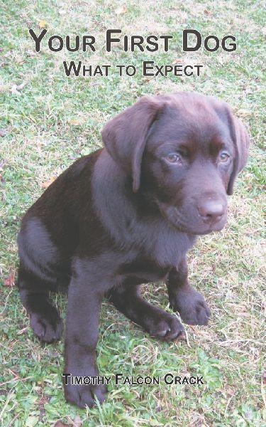 Your First Dog: What to Expect