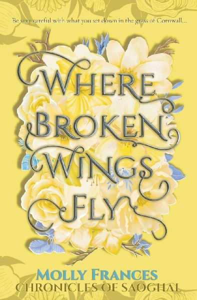 Where Broken Wings Fly