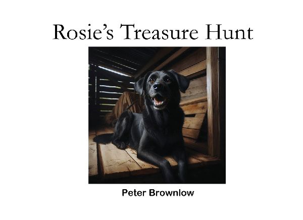 Rosies Treasure Hunt