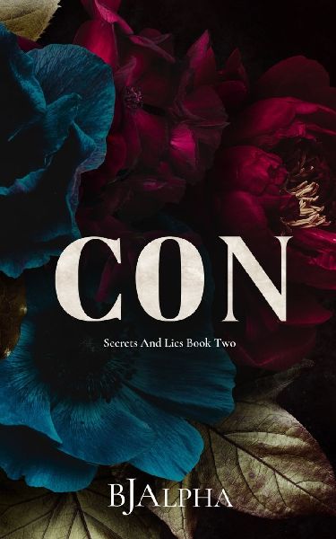 Con Discreet Cover: Secrets and Lies Discreet Cover Book 2