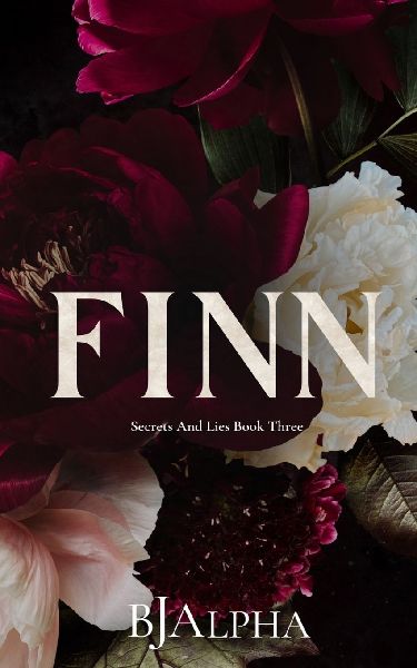 Finn Discreet Cover: Secrets and Lies Discreet Cover Book 3