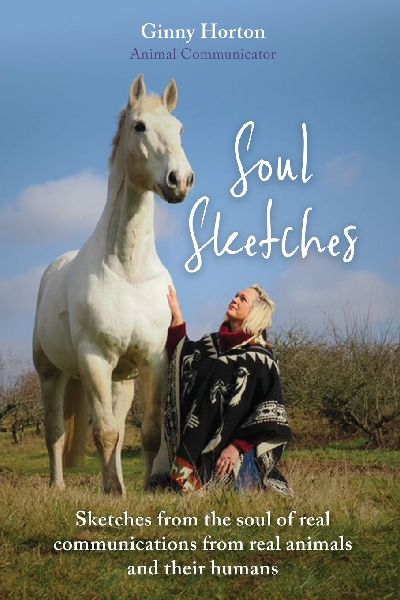 Soul Sketches: Sketches from the soul of real communications from real animals and their humans