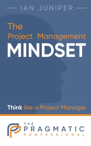 The Project Management Mindset Think Like a Project Manager