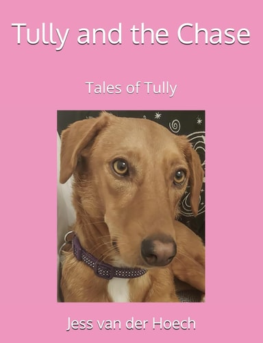 Tully and the Chase