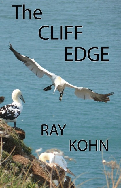 The CLIFF EDGE