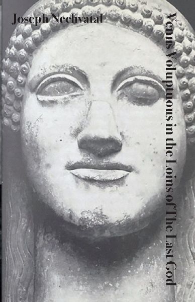 Venus Voluptuous in the Loins of The Last God