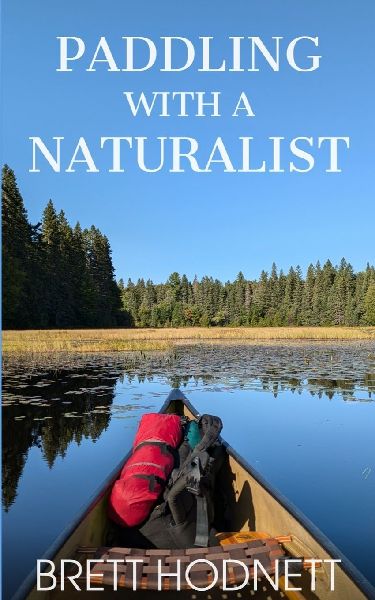 PADDLING WITH A NATURALIST