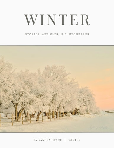 Winter Stories, Articles, & Photographs