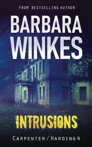 Intrusions A Lesbian Detective Novel