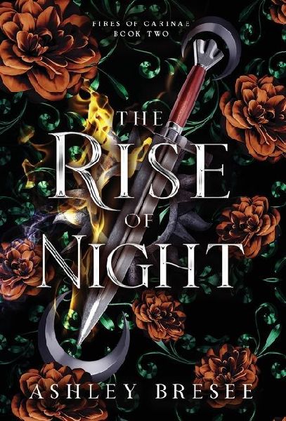 The Rise of Night: A Dark Fantasy Romance