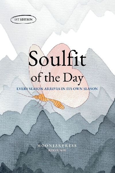 Soulfit of the Day: 90 Days of Quiet Healing and Reflection : A Mindful Copybook to Restore Your Heart and Calm Your Mind