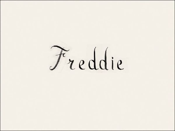 Rory Mulligan: Freddie