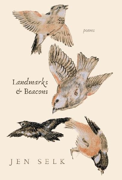 Landmarks and Beacons: poems