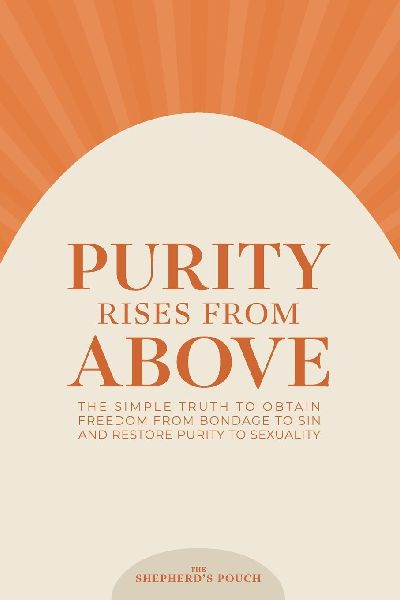 PURITY RISES FROM ABOVE: The Simple Truth to Obtain Freedom From Bondage to Sin and Restore Purity to Sexuality