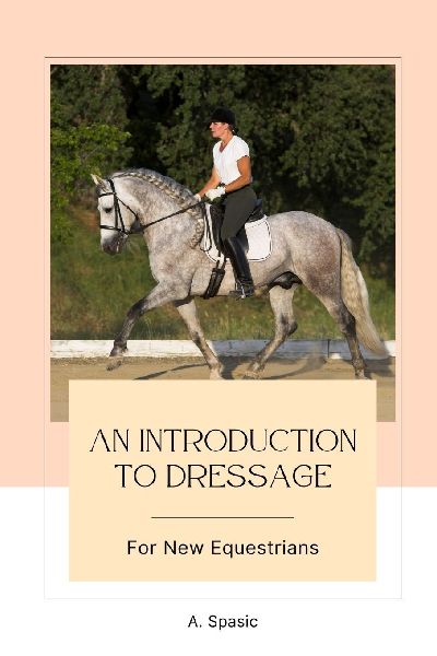 An Introduction to Dressage for New Equestrians