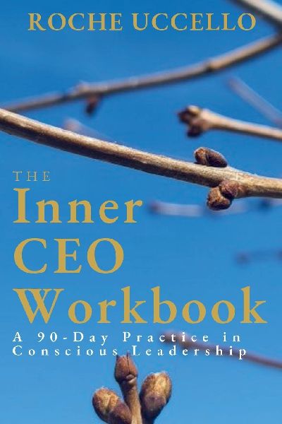 The Inner CEO Workbook: A 90-Day Practice in Conscious Leadership