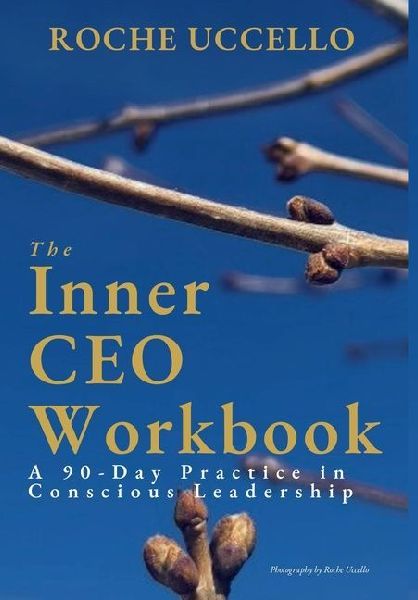 The Inner CEO Workbook: A 90-Day Practice in Conscious Leadership