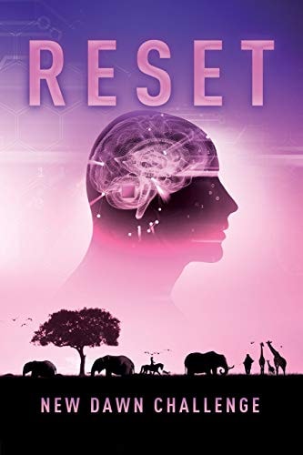 New Dawn Reset