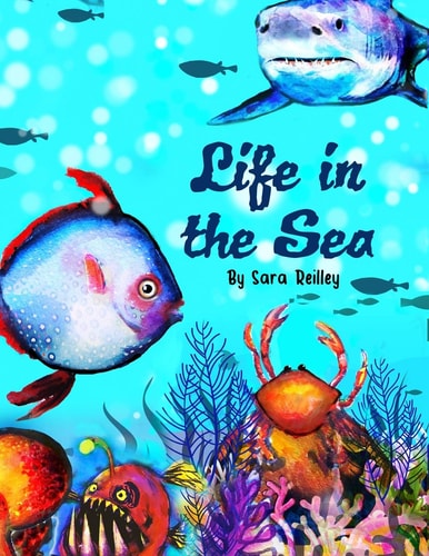 Life in the Sea Facts on Sea Life Creature