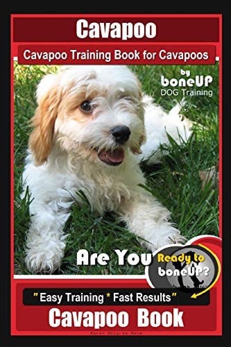 Cavapoo, Cavapoo Training Book for Cavapoos, By BoneUP DOG Training Are You Ready to Bone Up? Easy Training * Fast Results, Cavapoo Book