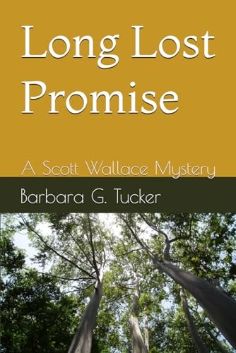 Long Lost Promise A Scott Wallace Mystery